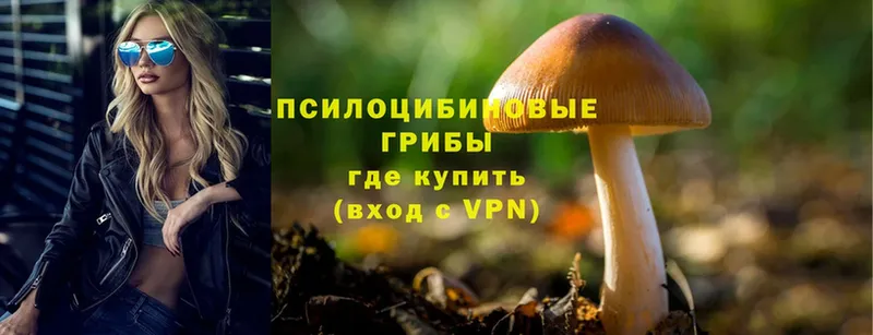 Псилоцибиновые грибы MAGIC MUSHROOMS  Волчанск 